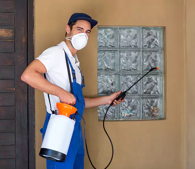 Your Reliable Pest Control in Parsippany, NJ