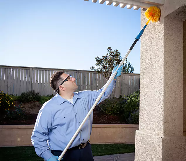 Trusted Experts in Parsippany NJ for Formosan Termite Treatment and Black Termite Control