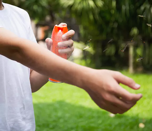 Your Best Indoor Bug Killer Team in Parsippany, NJ