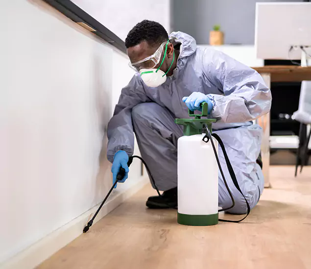 Leading Industrial Pest Control Experts Serving Parsippany, NJ