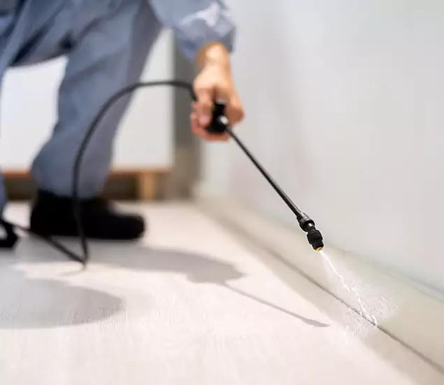About Our Liquid Termite Treatment Experts in Parsippany, NJ