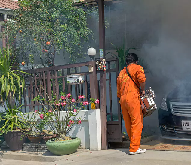 Your Proven Mosquito Fogging Company in Parsippany, NJ