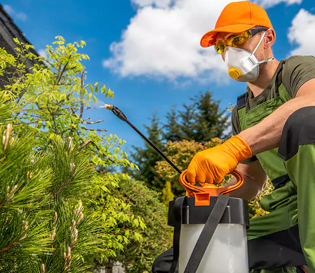 Your Best Bug Spray for Home Team in Parsippany, NJ