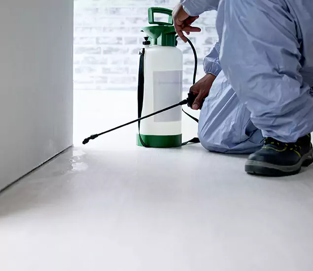 Affordable Pest Control Experts in Parsippany, NJ