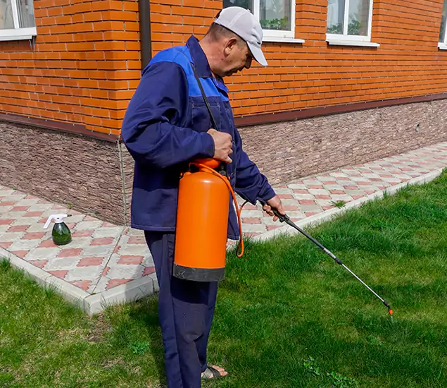 Reliable Pest Control Companies You Can Trust in Parsippany, NJ