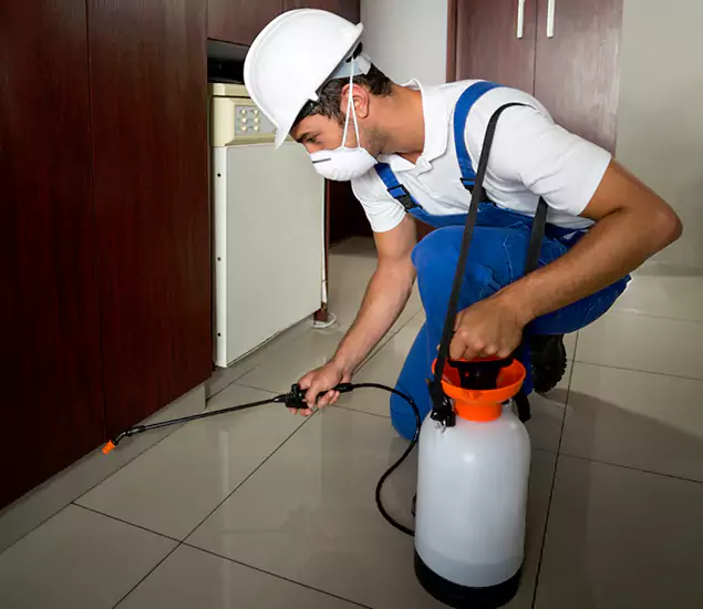Advanced Termite Pre Treatment Experts in Parsippany, NJ