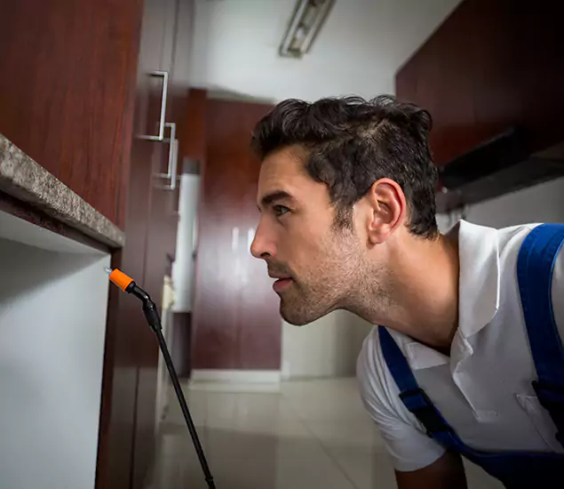 Expert Rodent in Attic Removal: Your Proven Pest Specialists in Parsippany, NJ