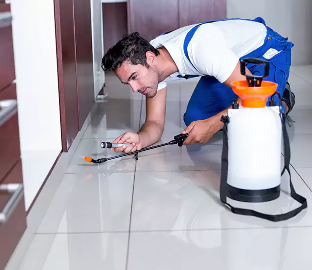 Advanced Slab Termite Treatment Experts You Can Trust&nbsp;in Parsippany, NJ
