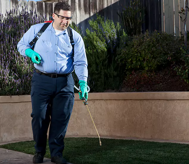 Reliable Termite Barrier Treatment Experts in Parsippany, NJ