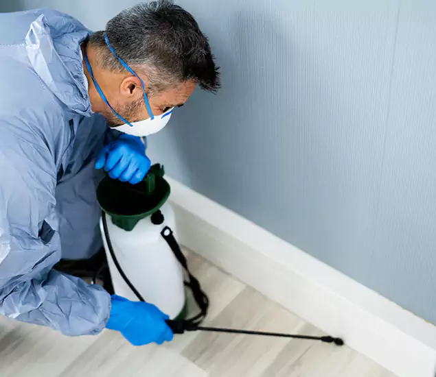 Reliable Termite Cost Experts in Parsippany, NJ