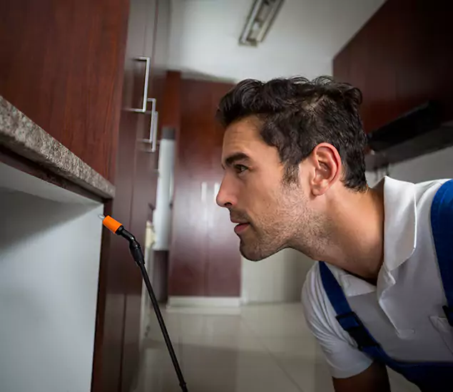 Termite Inspection Cost Experts You Can Trust in Parsippany, NJ