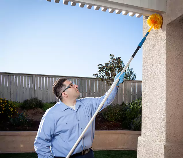 Your Trusted Wasp Removal Company in Parsippany, NJ