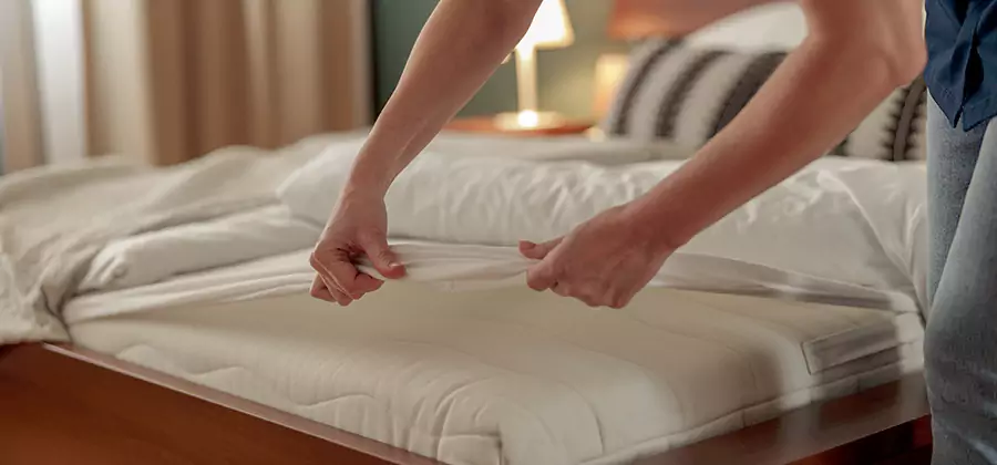 Bed Bug Extermination Services in Parsippany