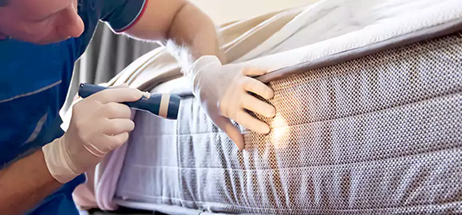 Residential Bed Bug Treatment Cost in Parsippany