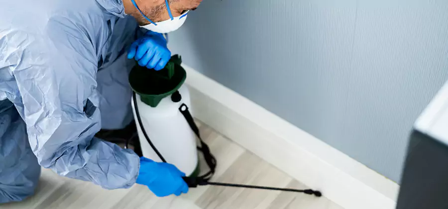 Fumigate Apartment Roaches in Parsippany