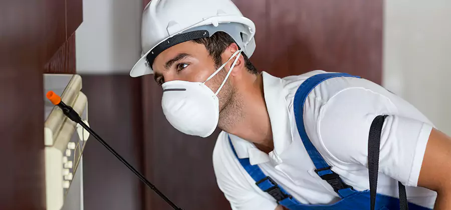 Injection Foam Treatment for Drywood Termites in Parsippany