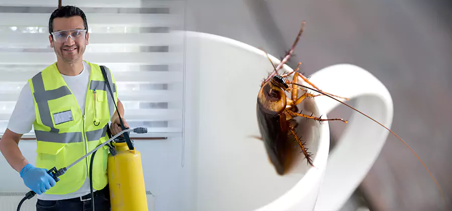 German Roach Infestation Treatment Parsippany