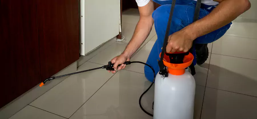 Indoor Mosquito Treatment in Parsippany