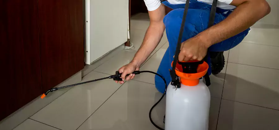 Indoor Insect Killer Solutions in Parsippany