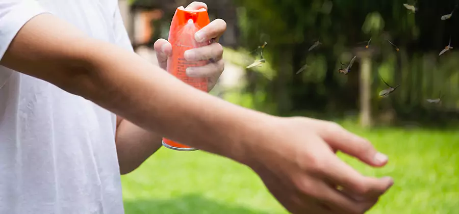 Mosquito and Tick Control Services in Parsippany