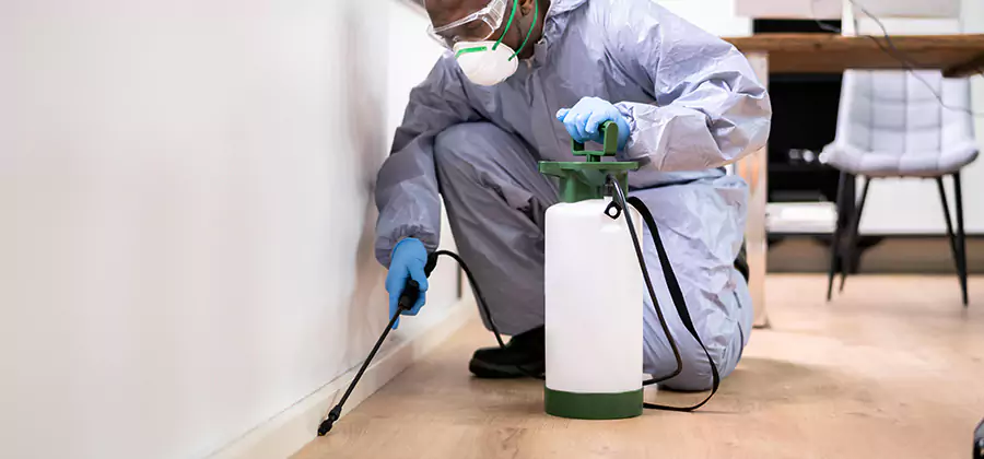 No Tent Termite Extermination With Electric Tool in Parsippany