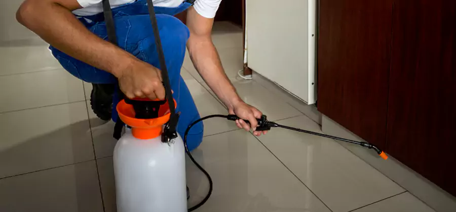 One Time Termite Control in Parsippany