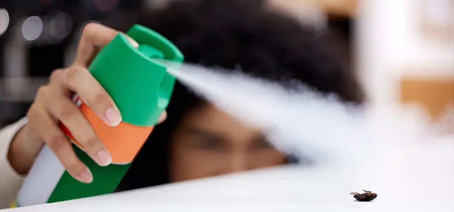 Child Safe Bed Bug Treatment in Parsippany