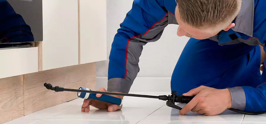 Moisture Treatment For Termite Control Service in Parsippany