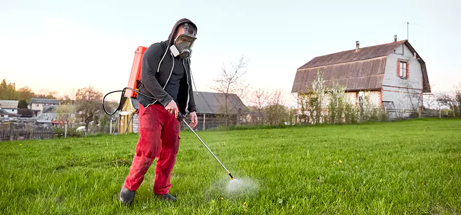 Flea and Tick Pest Control in Parsippany