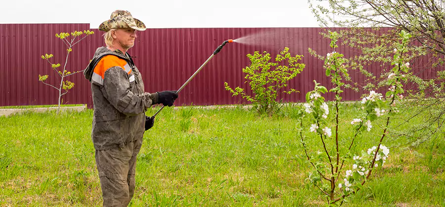Flea and Tick Spray for Yard in Parsippany