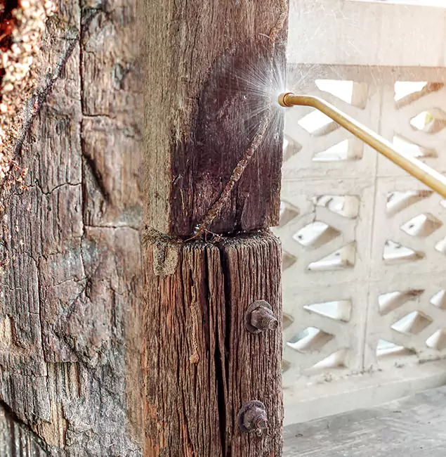 Why Choose Parsippany Pest Control Pro for Attic Termite Treatment in Parsippany, NJ?