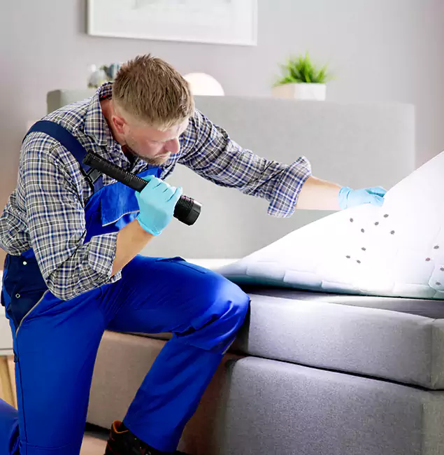 Why Choose Parsippany Pest Control Pro for Bed Bug Exterminator Cost in Parsippany, NJ?