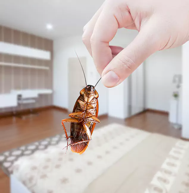 Why Parsippany Pest Control Pro Stand Out for Bed Bug Fumigation in Parsippany, NJ?