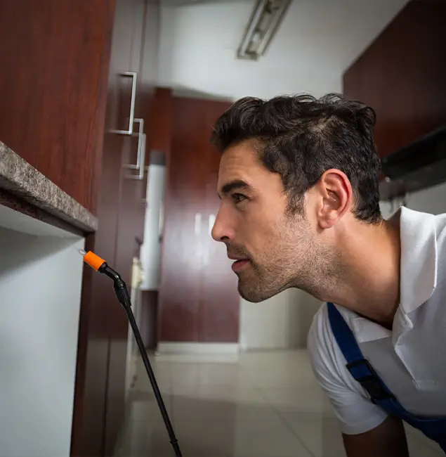 Why Choose Parsippany Pest Control Pro for Bed Bug Removal Cost in Parsippany, NJ?
