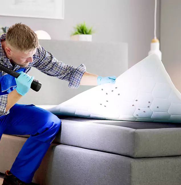 Why Choose Parsippany Pest Control Pro in Parsippany, NJ?
