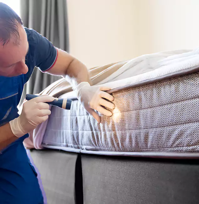 Why Choose Parsippany Pest Control Pro for Bed Bug Services in Parsippany, NJ?