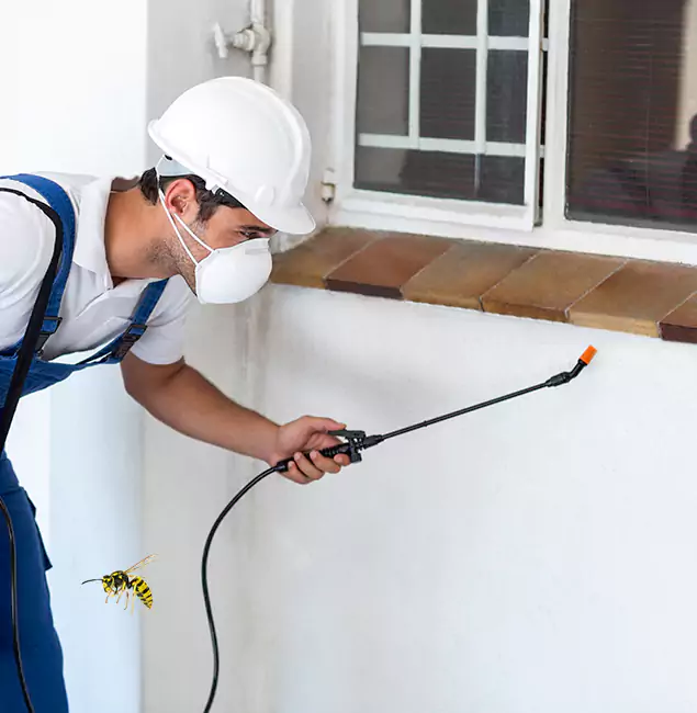 Why Parsippany Property Owners Choose Parsippany Pest Control Pro for Bee Nest Removal?