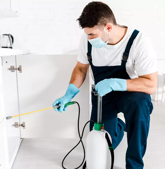 Why Choose Parsippany Pest Control Pro for Emergency Pest Control in Parsippany?