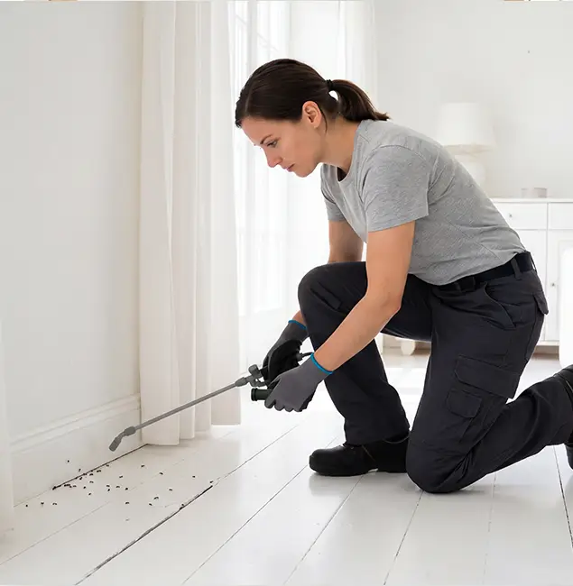 Why Parsippany, NJ Property Owners Trust Parsippany Pest Control Pro for Fire Ant Control?