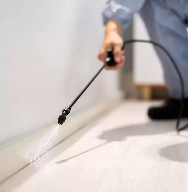 Why Choose Parsippany Pest Control Pro for Termite Treatment in Parsippany, NJ?