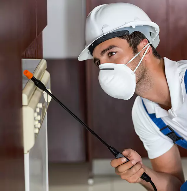 Why Parsippany Homeowners Rely on Parsippany Pest Control Pro for Tick Treatment?