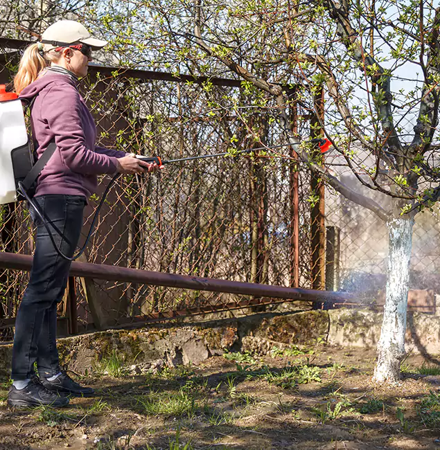 Why Parsippany Homeowners Choose Parsippany Pest Control Pro for Mosquito Abatement?