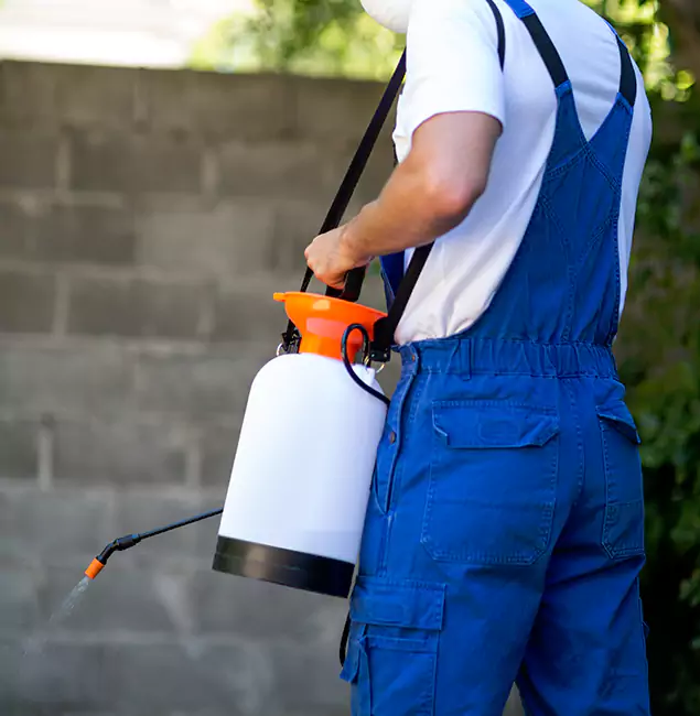 Why Parsippany Homeowners Rely on Parsippany Pest Control Pro for Mosquito Control?