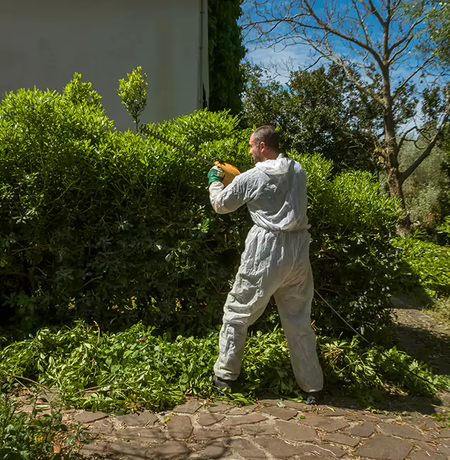 Why Parsippany Pest Control Pro Leads Mosquito Control in Parsippany, NJ?