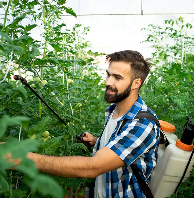 Why Parsippany Homeowners Choose Parsippany Pest Control Pro for Mosquito Spraying?