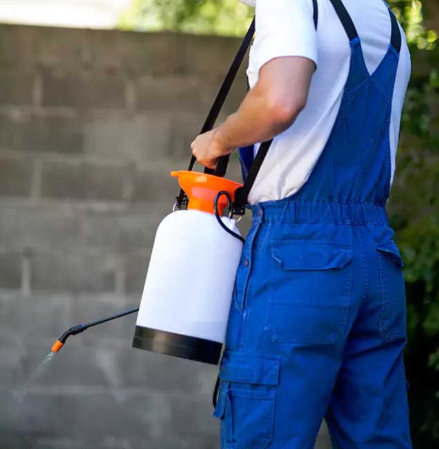Why Parsippany Pest Control Pro Delivers the Best Mosquito Control in Parsippany, NJ?