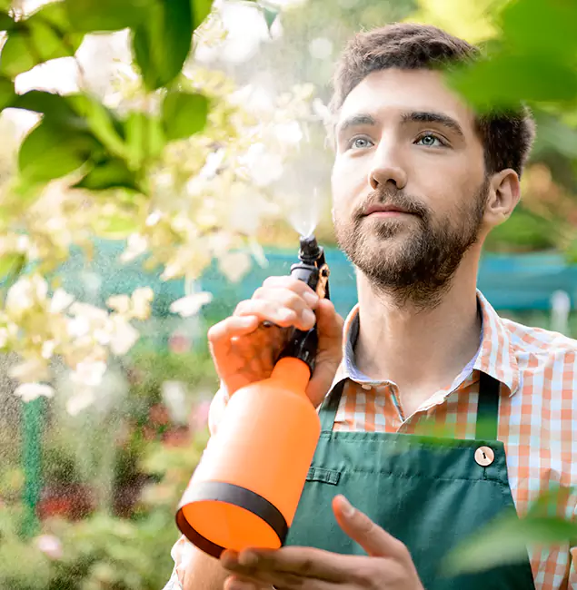 Why Parsippany Homeowners Call Parsippany Pest Control Pro for Mosquitoes in House?