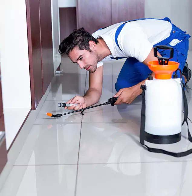 Why Parsippany Pest Control Pro Is the Proven Choice in Parsippany, NJ?