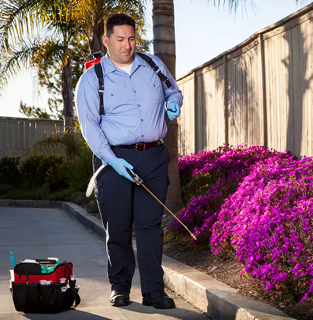 Why Choose Parsippany Pest Control Pro in Parsippany, NJ?