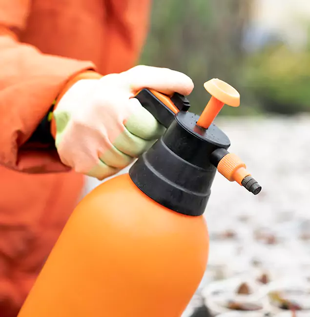 Why Choose Parsippany Pest Control Pro for Orange Termite Treatment in Parsippany, NJ?